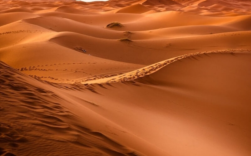 Ljudje v puščavah imajo veliko različnih izrazov za pesek in kamelo.
