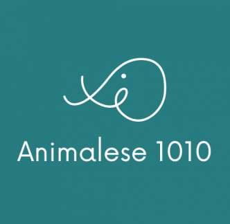 Our new brand - Animalese 1010